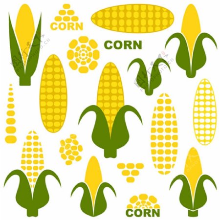 黄色玉米矢量图