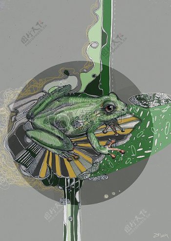 可爱的青蛙插图