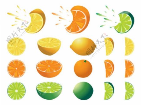 水果橘子矢量素材