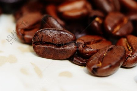 咖啡可可豆