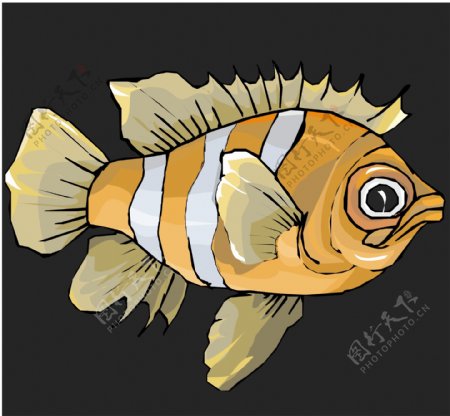 五彩小鱼水生动物矢量素材EPS格式0369