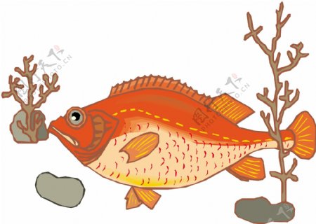 五彩小鱼水生动物矢量素材EPS格式0446
