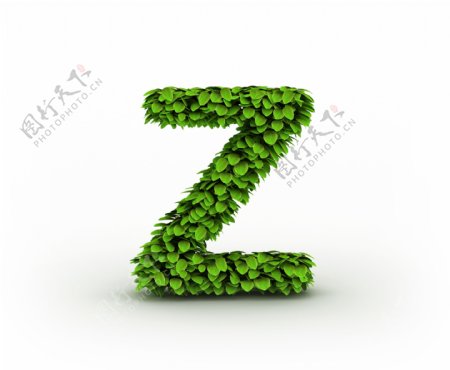 绿叶组成的字母Z图片