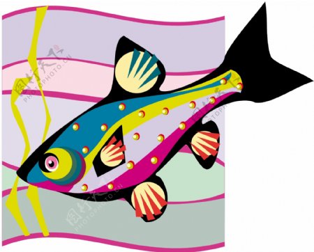 五彩小鱼水生动物矢量素材EPS格式0592