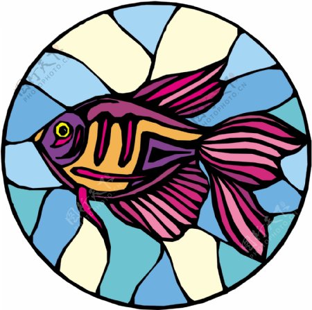 五彩小鱼水生动物矢量素材EPS格式0682