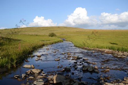 草原与溪水景观图片