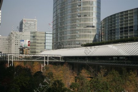 秋季日本东京的天桥