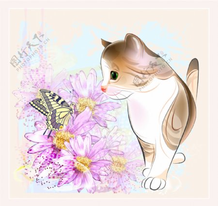 卡通小猫与蝴蝶图片