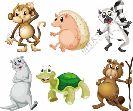 白色背景下六种野生动物的插图