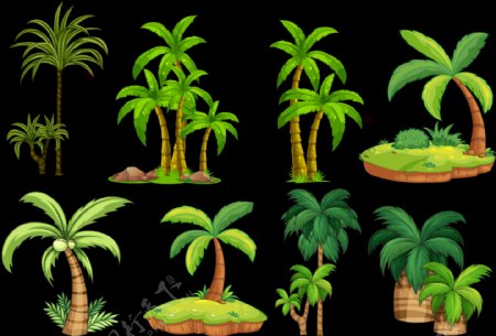 热带棕榈树椰子树免抠png透明图层素材