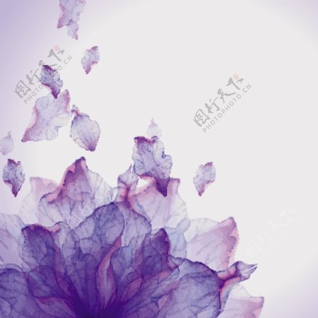 紫色花朵炫彩背景