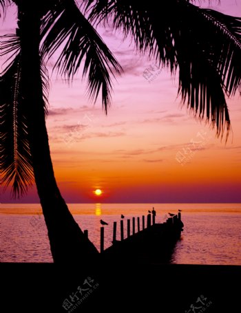 海边日落风景摄影图片