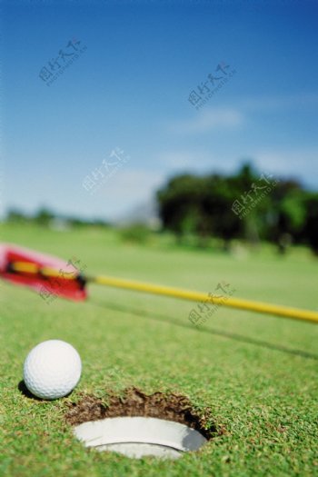 高尔夫球特写摄影图片