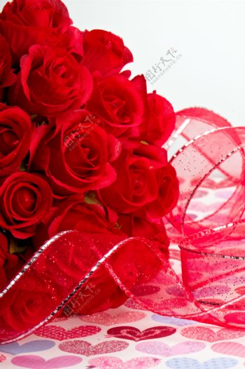浪漫红色玫瑰图片