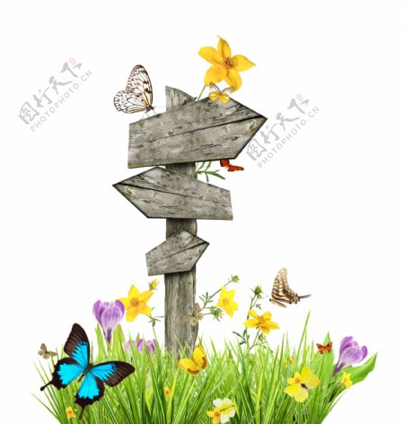 路标指示牌与蝴蝶鲜花图片
