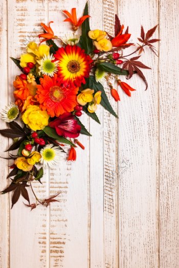 木板上的秋天花朵图片