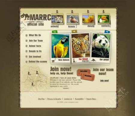 动物图片英文网站模板