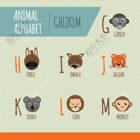 动物海报图片