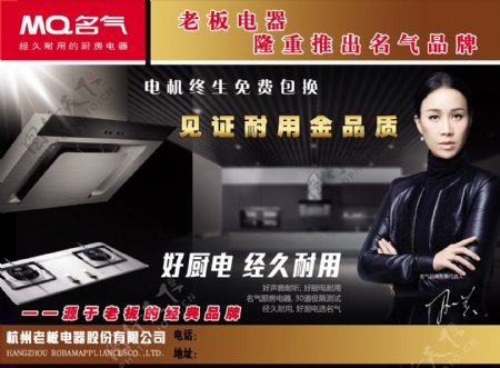名气厨房电器宣传单页形象宣传图片