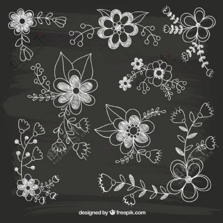 手绘花卉设计图片