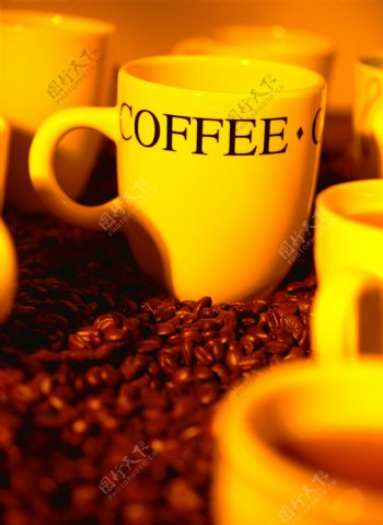咖啡豆上的咖啡杯子图片