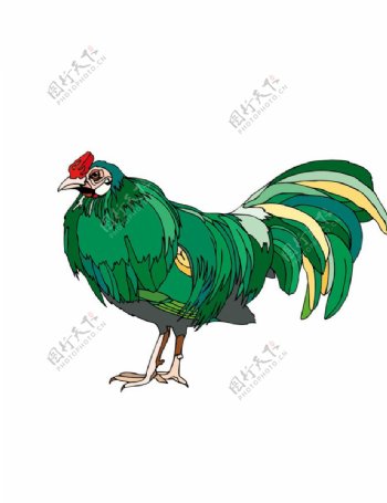 绿色公鸡