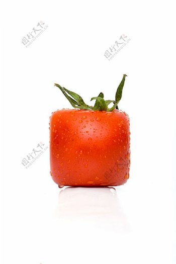 正方形西红柿