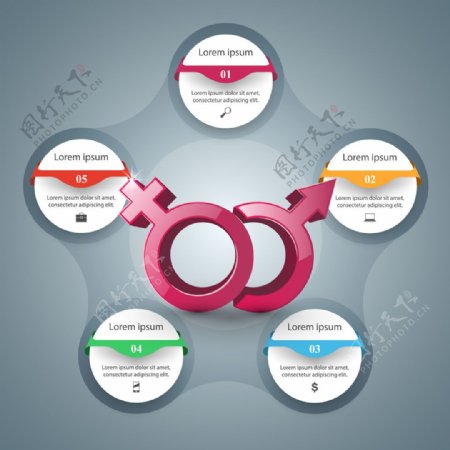 男女性别符号圆环图表图片