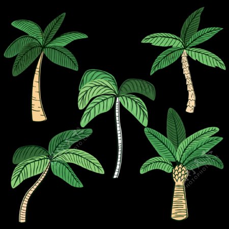 绿色椰子树棕榈树免抠png透明图层素材