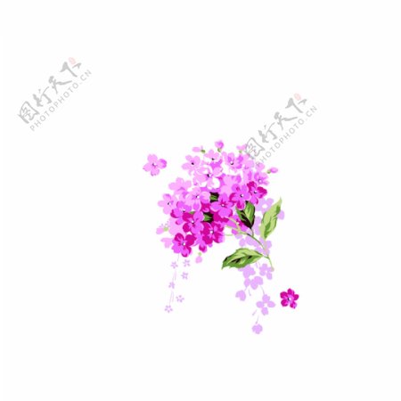 唯美紫色小花朵花束