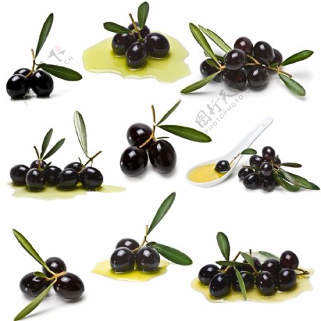 黑色橄榄果与食用油图片