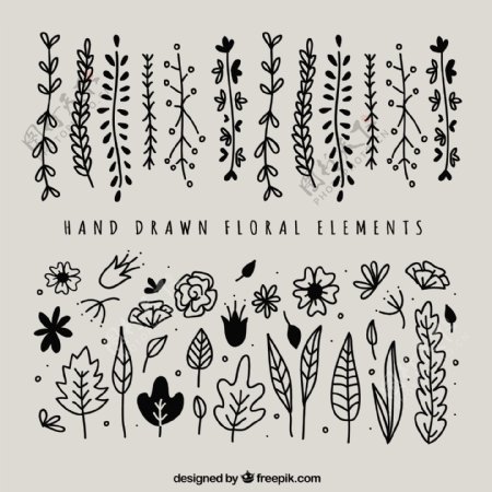手绘花的元素和树叶