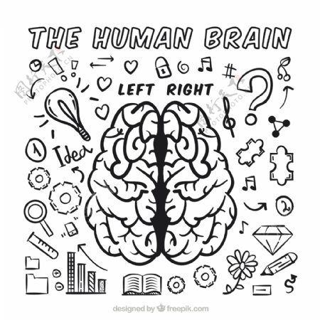 与各种各样的人类大脑的信息图表的涂鸦