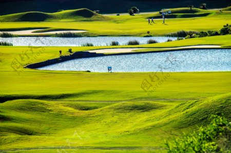 美丽的湖水高尔夫球场图片