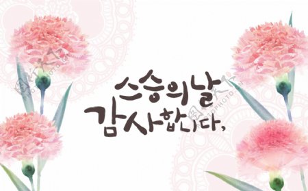 康乃馨韩国广告