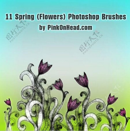 11款春季花朵花卉PS笔刷