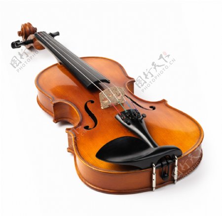 小提琴摄影