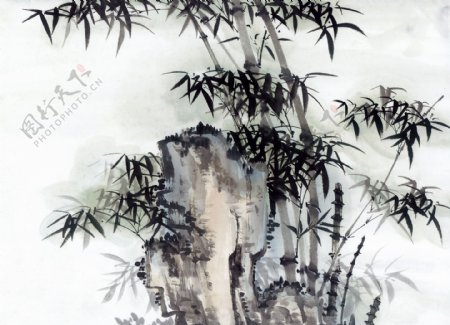 竹石国画0022