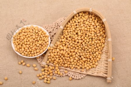 五谷杂粮系列黄豆摄影图图片