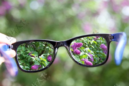 眼镜后面的清晰花朵图片