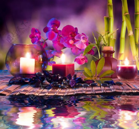 竹莲上的鲜花和蜡烛图片