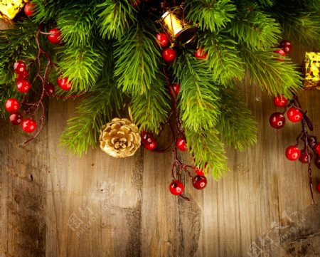 圣诞树枝和木板图片