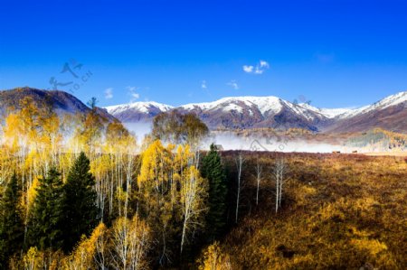 唯美的中国北疆雪山图片