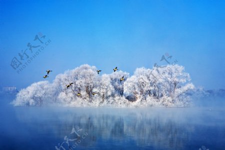 唯美冬季湖泊树林风景图片