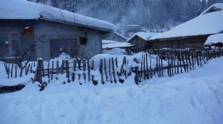 雪乡的村落图片