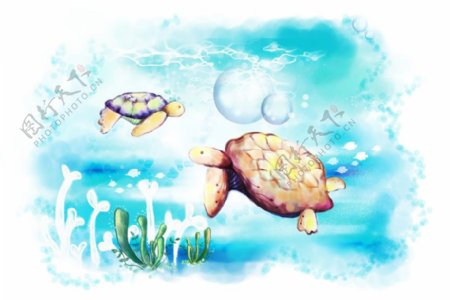 可爱的海龟