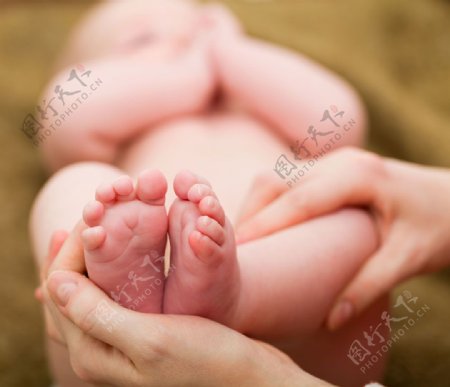 手中的婴儿脚丫图片