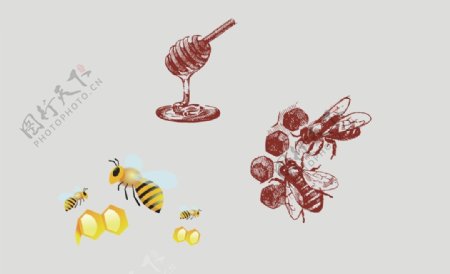 蜂蜜矢量图