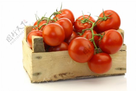 木箱里的番茄图片