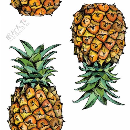 卡通菠萝背景图片